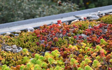 the cost of Newent green roof installation