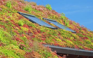 Newent living roof systems